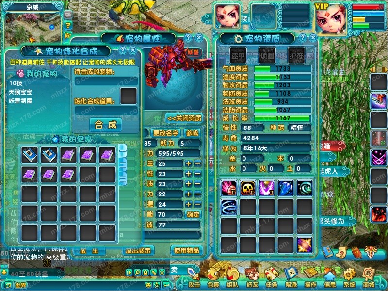 点击查看大图