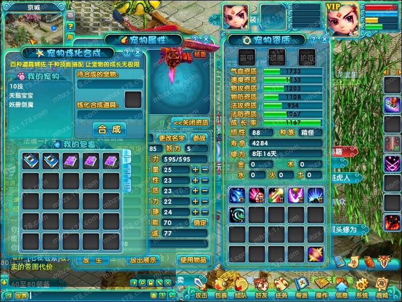 点击查看大图
