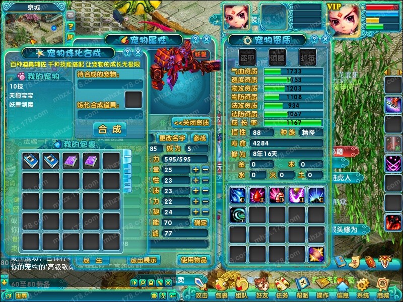点击查看大图