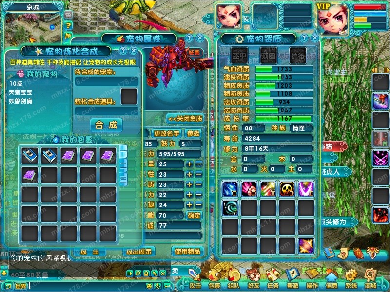 点击查看大图