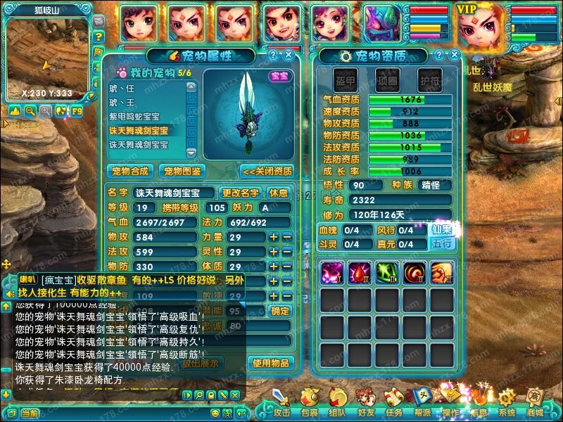点击查看大图
