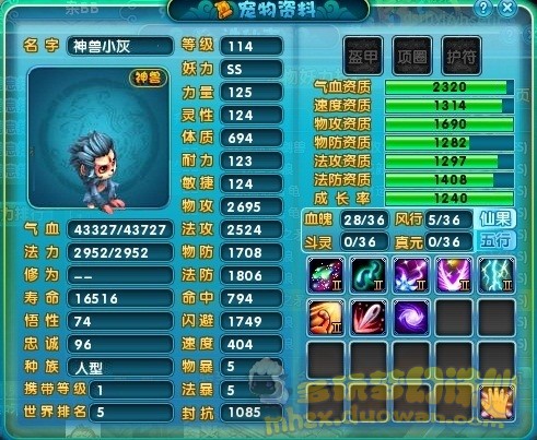 新鲜展示 极品神兽小灰敲山震虎有木有